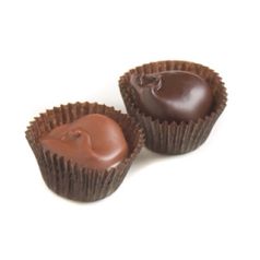 Premium Dark Roasted and Salted Macadamia Nut Chocolates Combination