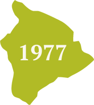 born in 1977