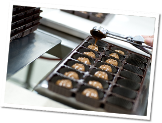 Chocolate Macadamia Nuts