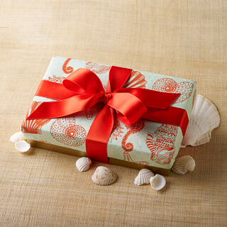 Seashell Box