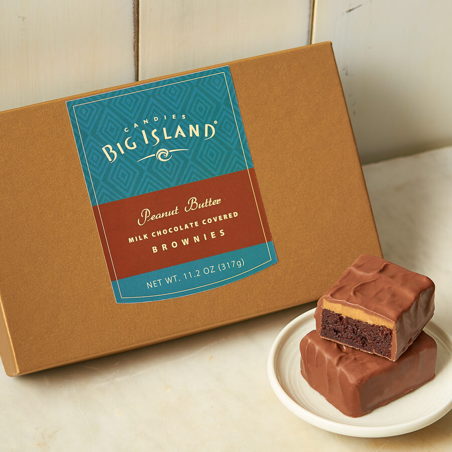 Chocolate Peanut Butter Brownies