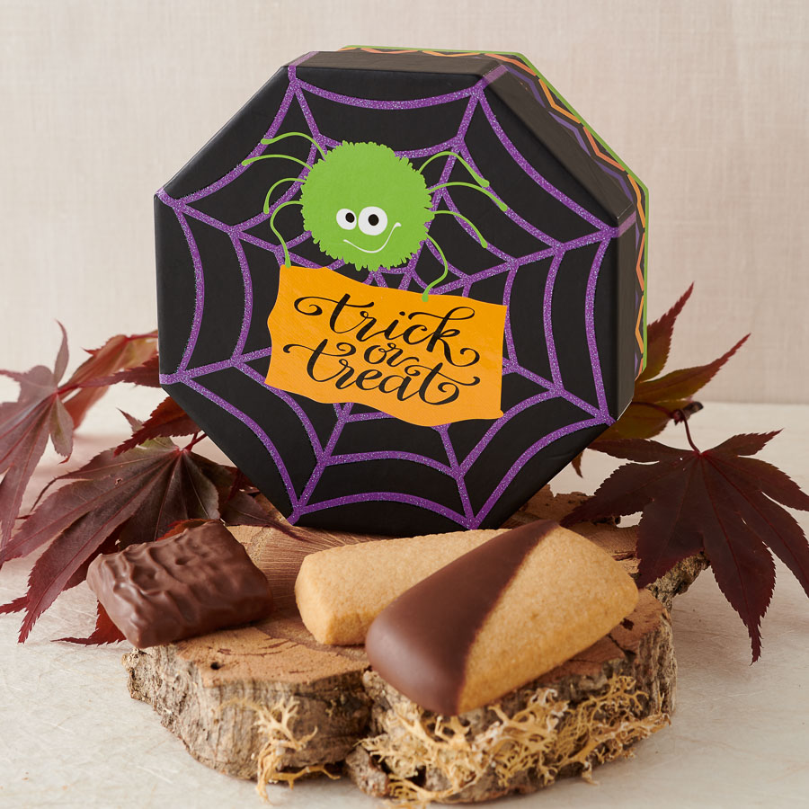 Trick or Treat Box
